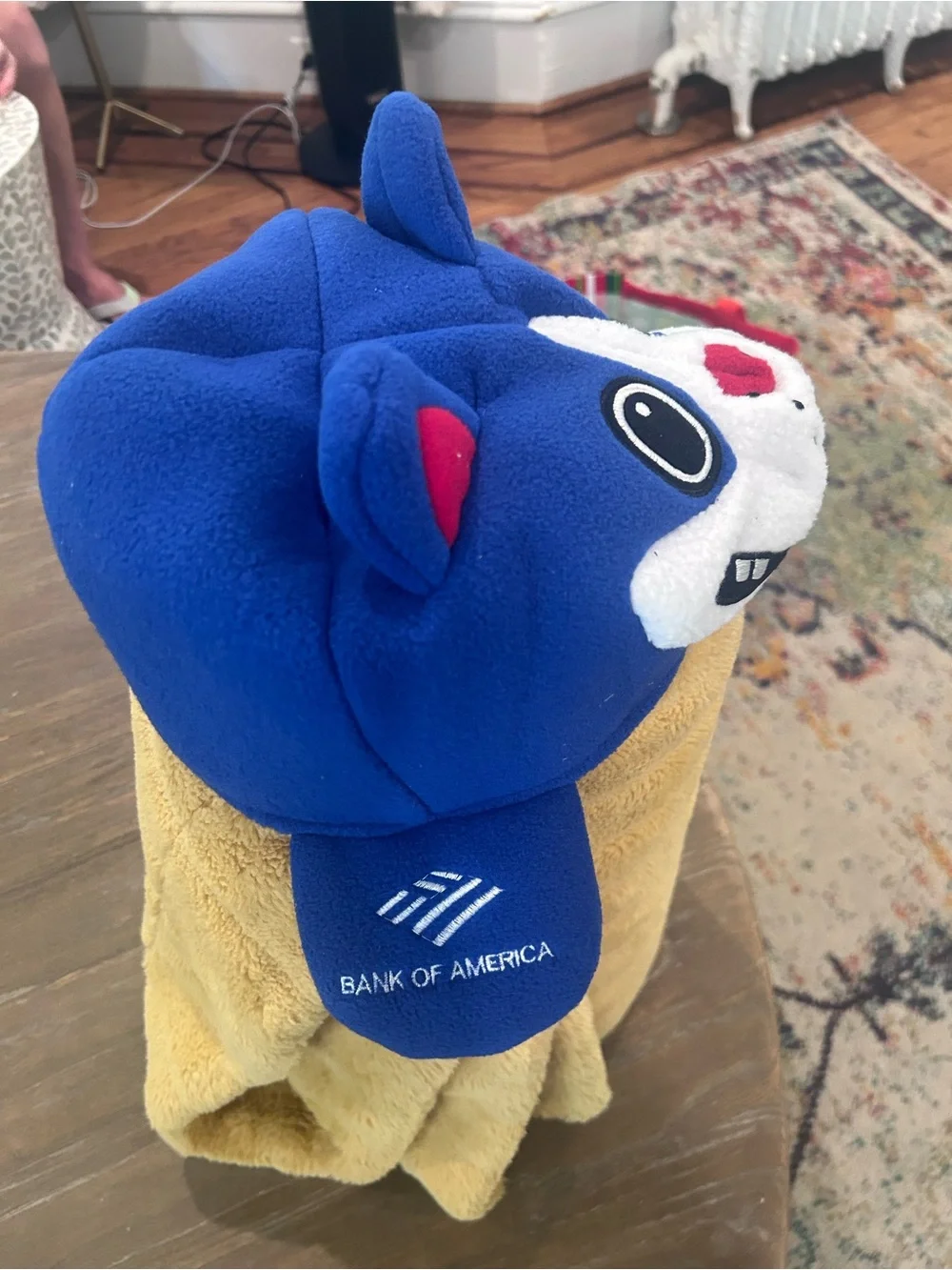 Kids 76ers Franklin the Dog mascot hat